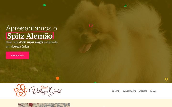 Screenshot of canilvillagegold.com.br