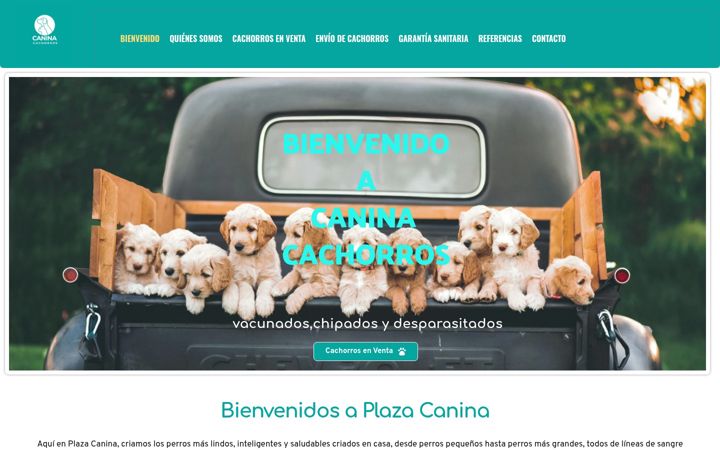Screenshot of caninacachorros.es