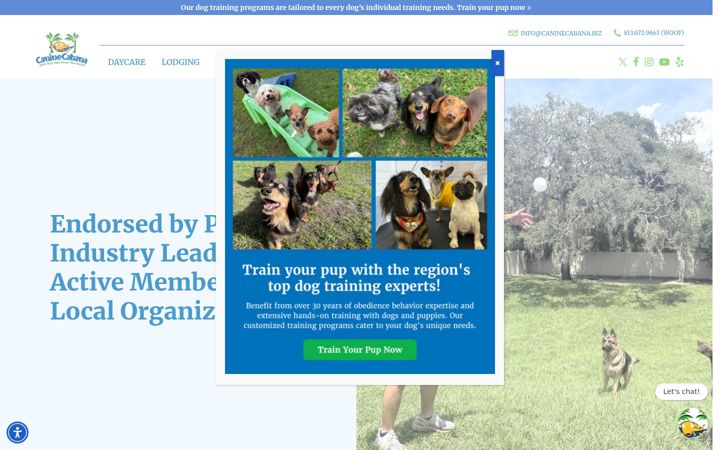 Screenshot of caninecabana.biz