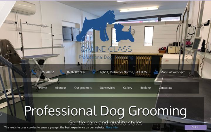 Screenshot of canineclass.co.uk