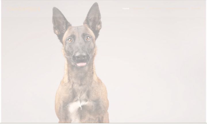 Screenshot of canis-fidelis.de
