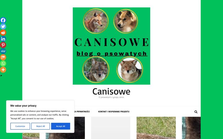 Screenshot of canisowe.pl
