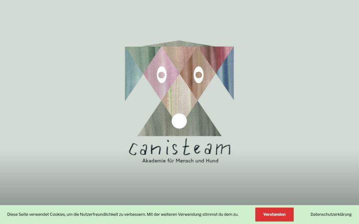 Screenshot of canisteam.com