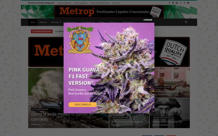 Screenshot di cannabismagazine.net