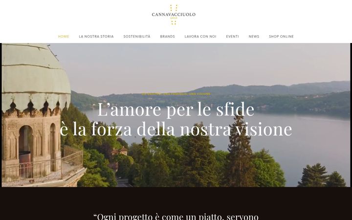 Screenshot of cannavacciuologroup.it