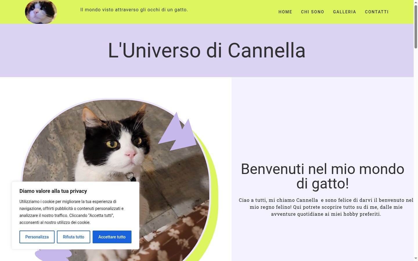 Screenshot tal-banner tal-kunsens muri qabel kwalunkwe interazzjoni