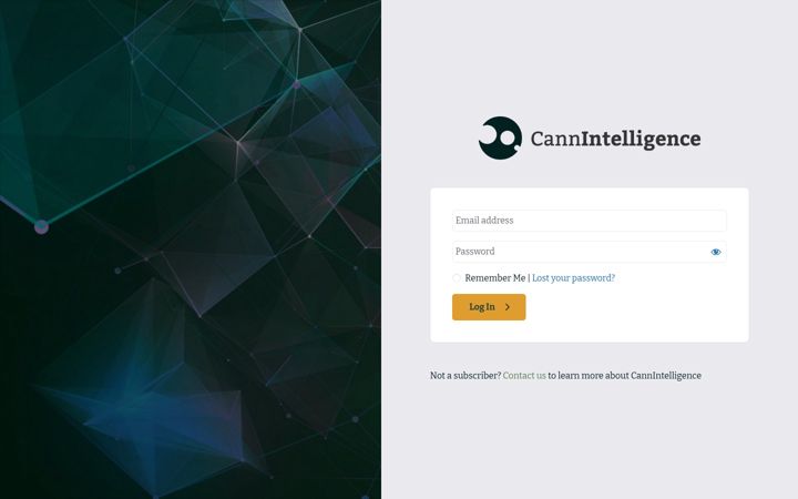 Screenshot of cannintelligence.com