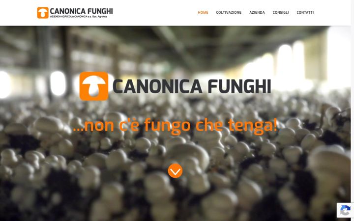 Posnetek zaslona canonicafunghi.it