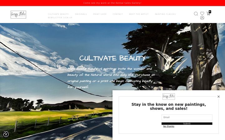Screenshot of canopyartstudio.com