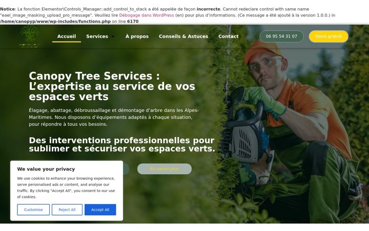 Screenshot of canopytree-services.com