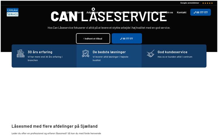 Screenshot of canservice.dk