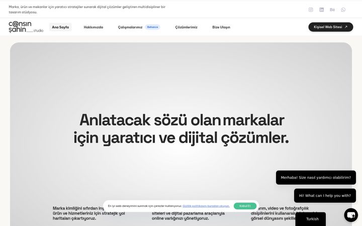 Ekrano kopija cansinsahin.com.tr