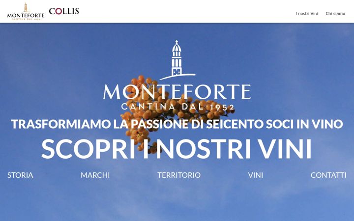Screenshot of cantinadimonteforte.it