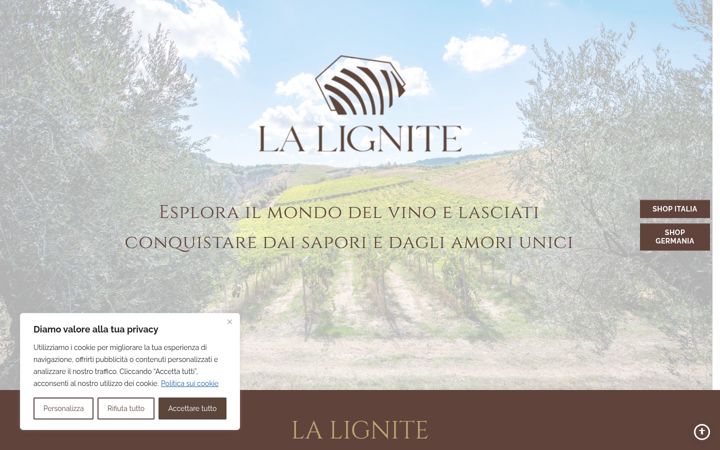 Screenshot von cantinalalignite.it