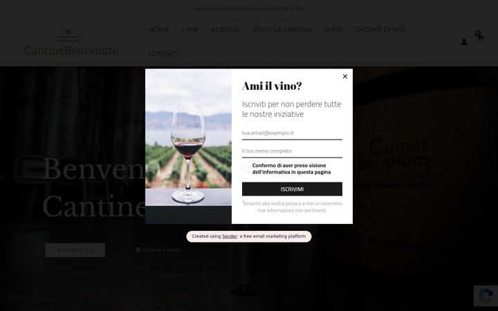 Screenshot of cantinebenvenuto.it