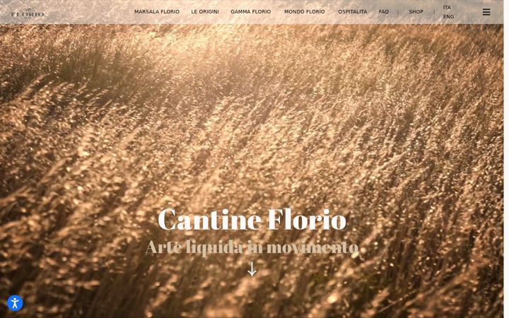 Screenshot of cantineflorio.it