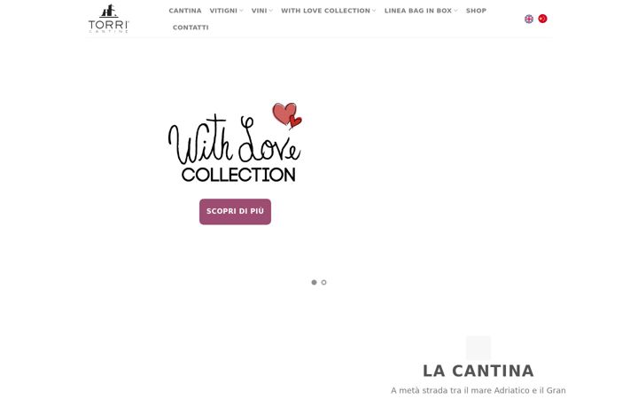Screenshot of cantinetorri.it