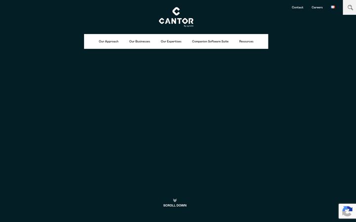 Zrzut ekranu cantor.fr