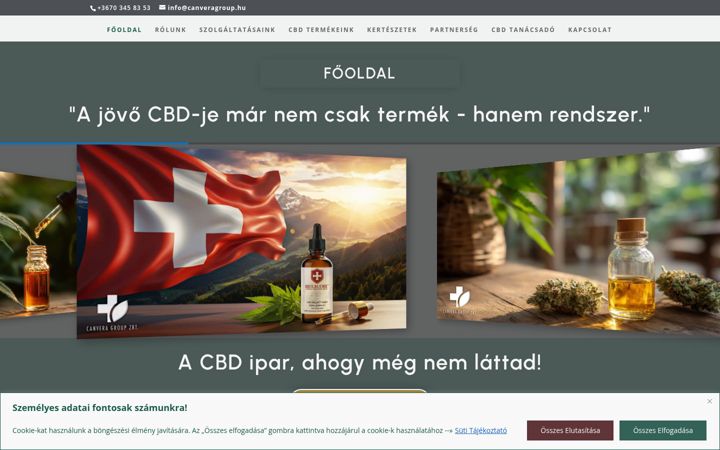 Екранна снимка на canveragroup.hu