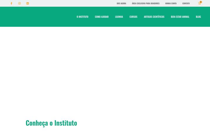 Screenshot stránky caoterapeuta.org.br