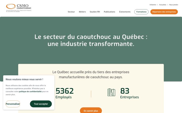 Screenshot του caoutchouc.qc.ca