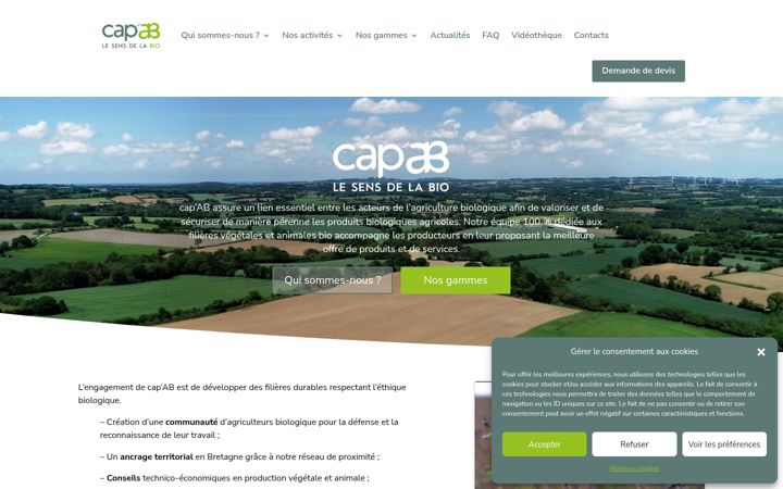 Zrzut ekranu cap-ab.fr