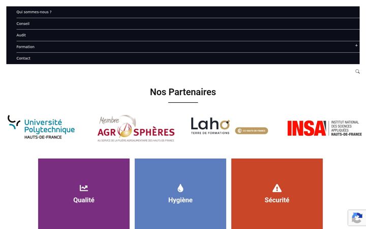 Zrzut ekranu cap-qualite.fr