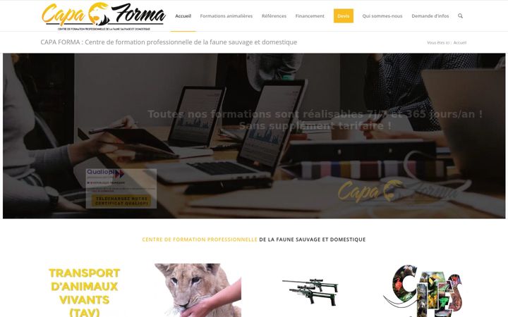 Screenshot of capaforma.com