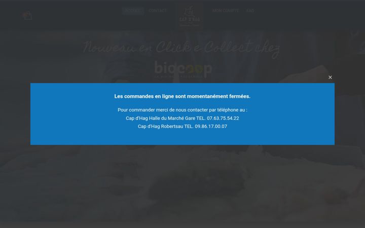 Screenshot of capdhagbioshop.com