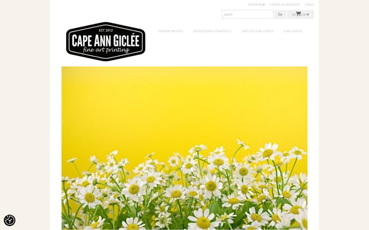 Screenshot of capeanngicleeshop.com