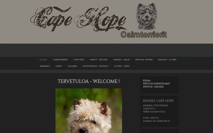 Screenshot of capehope.fi
