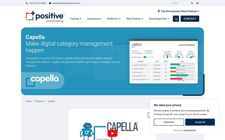 Screenshot of capellacategorystrategy.com