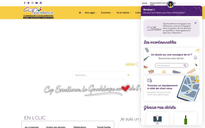 Screenshot di capexcellence.net