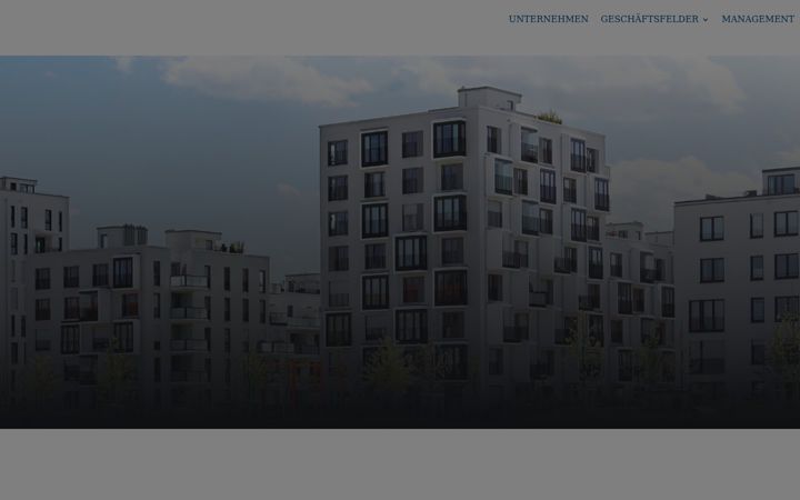 Skjámynd af capital-connect.de