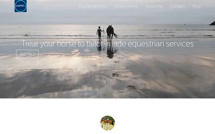 Screenshot of capito-animal.com