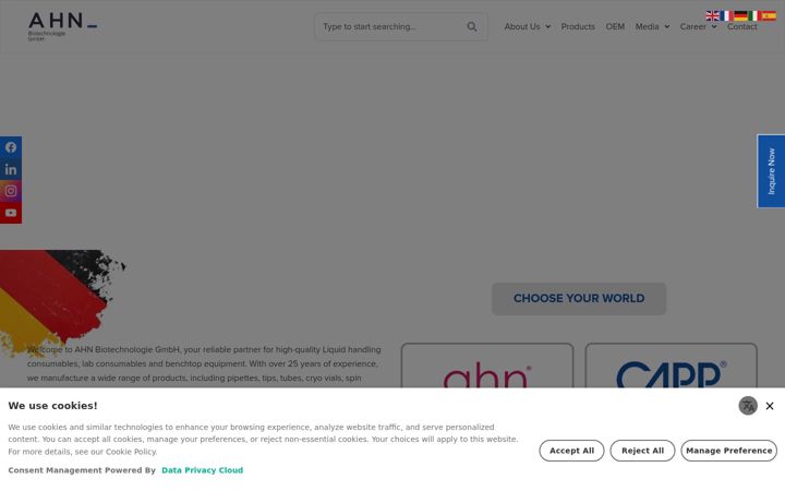 Screenshot of capp.dk