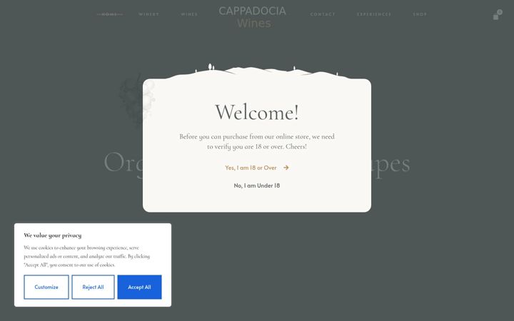 Screenshot of cappadociawines.nl