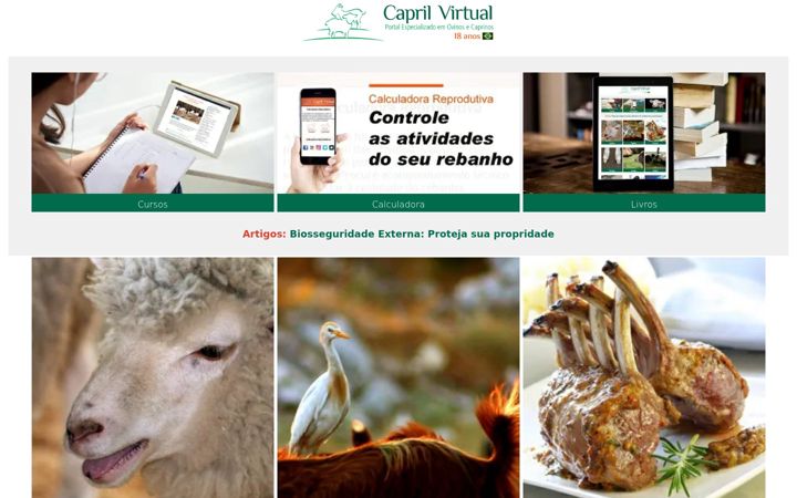 Screenshot of caprilvirtual.com.br