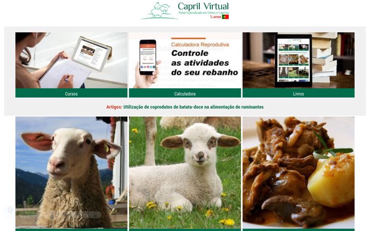 Screenshot of caprilvirtual.pt