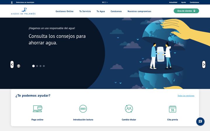 Screenshot of capsa.cat