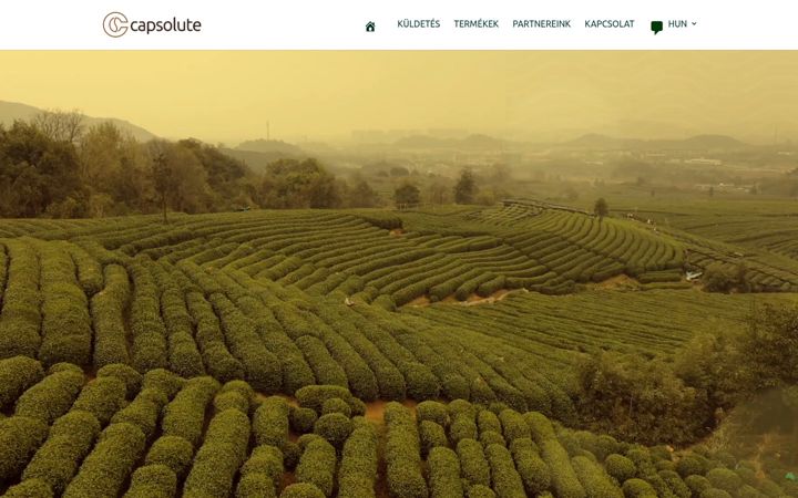 Screenshot of capsolute.hu