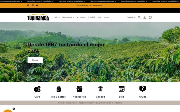 Screenshot of capsulastupinamba.com