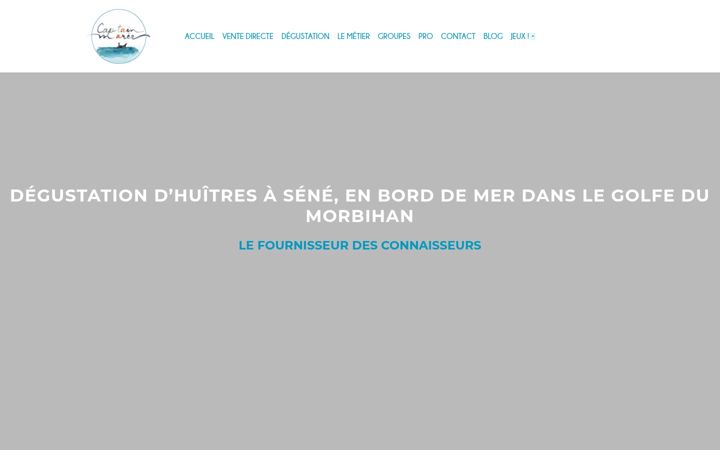 Screenshot of captainmaree.com
