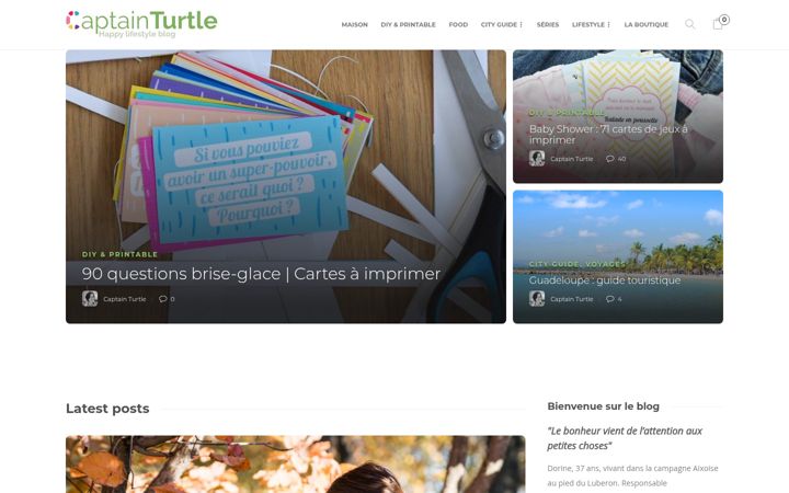 Screenshot of captainturtle.fr