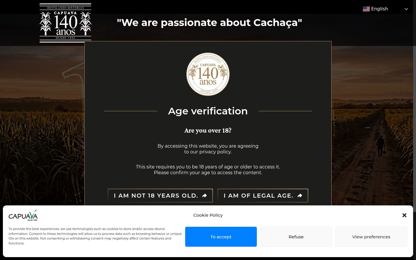 Screenshot of the consent banner shown before any interaction