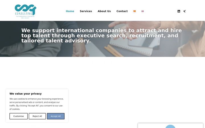 Screenshot of caq-consulting.com