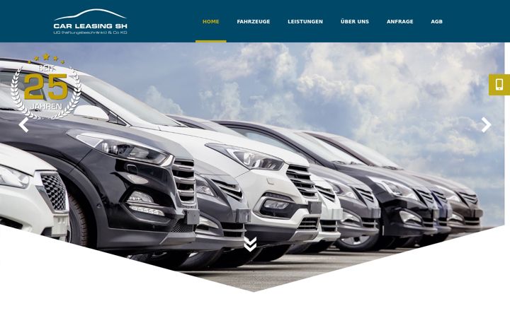 Screenshot of car-leasing-sh.de