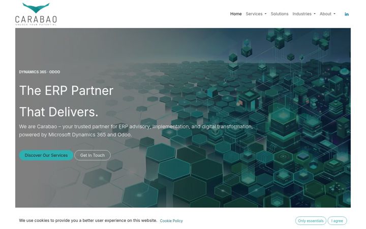 Screenshot of carabaosolutions.com