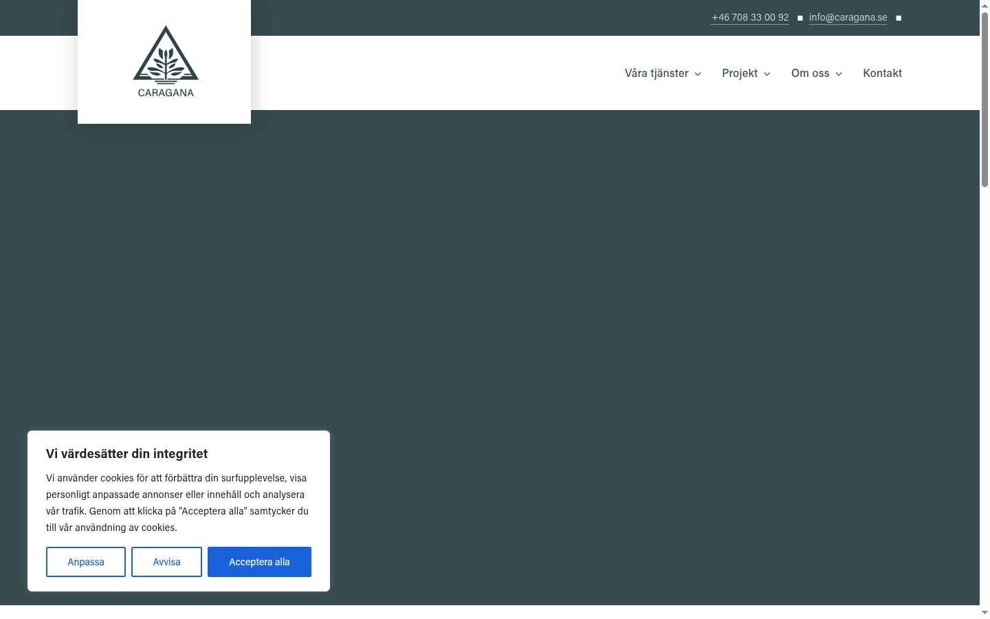 Screenshot of the consent banner shown before any interaction