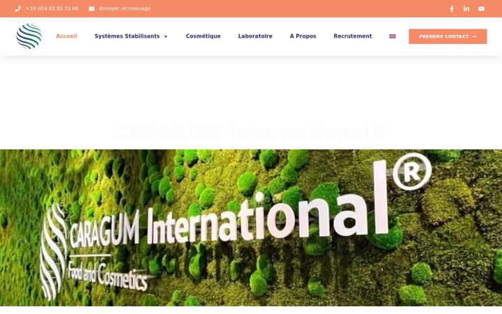 Captură de ecran a caragum.com